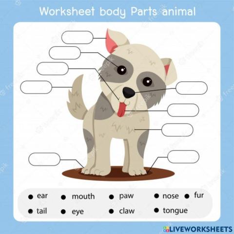 Body Parts of Animals