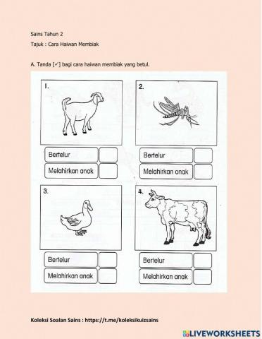 Sains Tahun 2 - Cara Haiwan Membiak