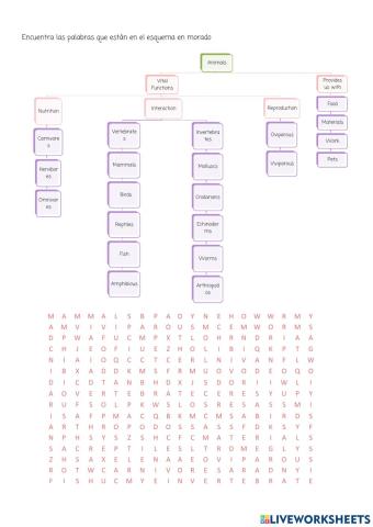 Sopa de letras animals