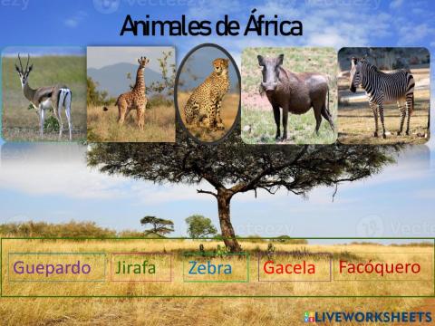Animales de África Dalia