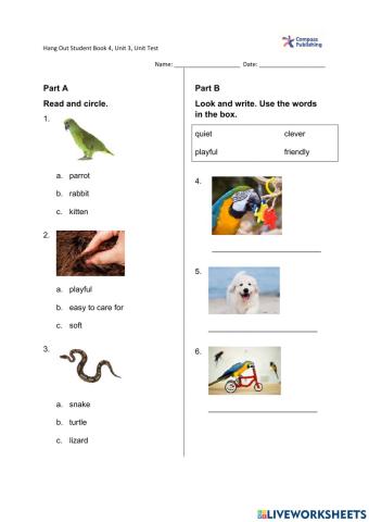 Grade 4-Unit Test 3