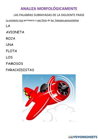 Analisis morfologico