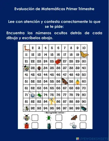 Evaluación Matemáticas