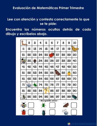 Evaluación Matemáticas