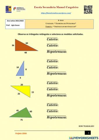 Triângulos retângulos