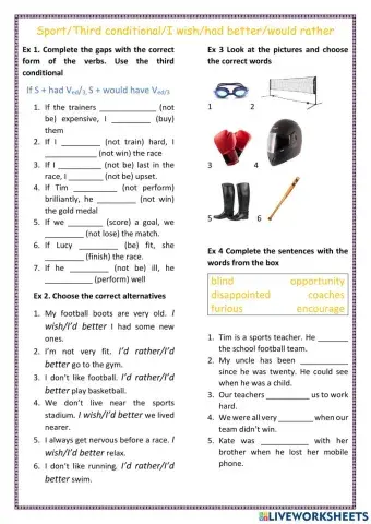 Sport-Third conditional-I wish-had better-would rather