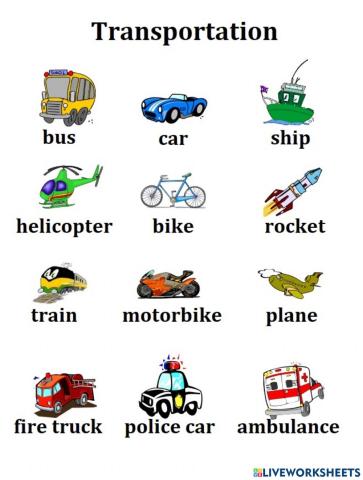 Transportation