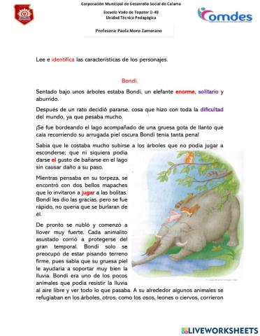 Bondi, comprensión lectora