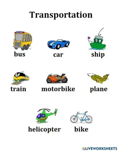 Transportation