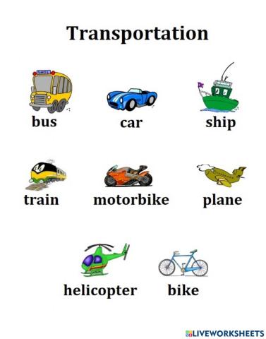 Transportation