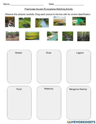 Freshwater Aquatic Ecosystems