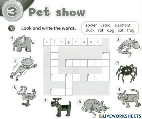 Pet's show