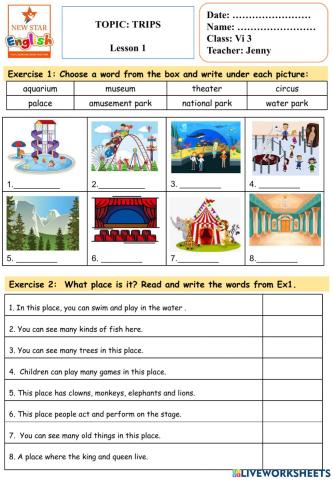 Vi3- TRIPS- Lesson 1