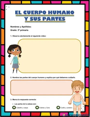 El cuerpo humano y sus partes