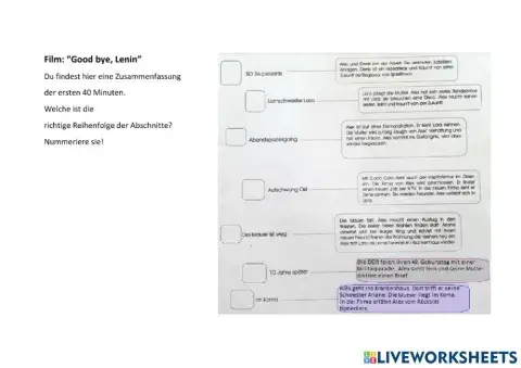 Good bye Lenin - Puzzle