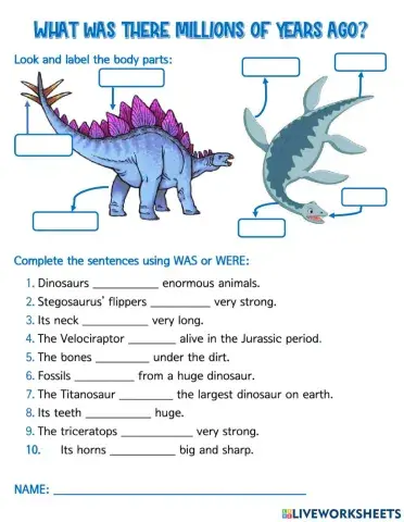 What was there millions of years ago?