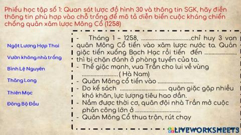 Kháng chiến chống Mông Cổ