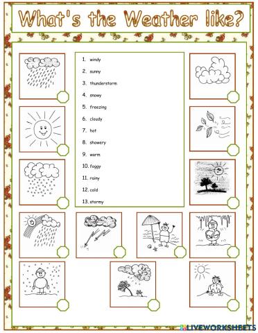 What's the weather like?