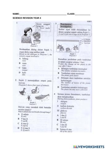 Revision science year 4 (1)