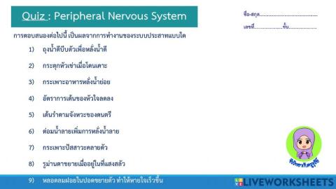 ระบบประสาทรอบนอก