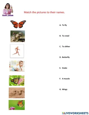 Animals Use their Body Parts to Move