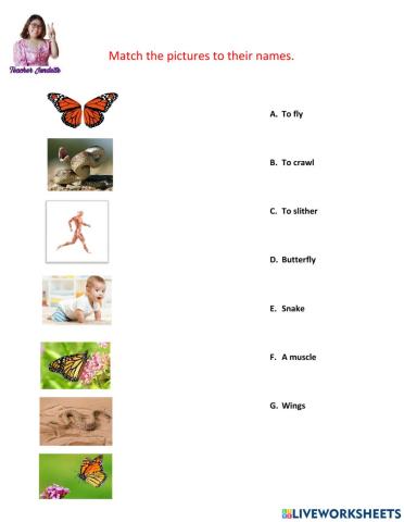 Animals Use their Body Parts to Move