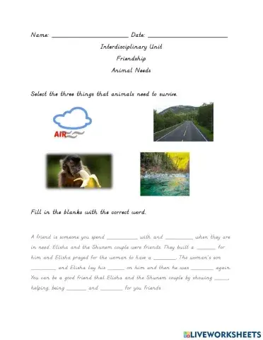 Friendship & Animal Needs