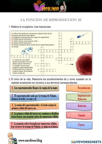 La función de reproducción III