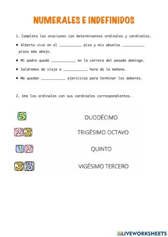 Numerales e indefinidos
