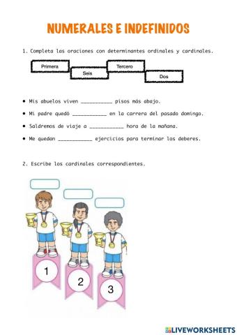 Numerales e indefinidos