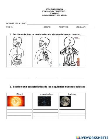 Evaluación trimestral
