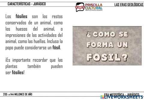 Los fósiles