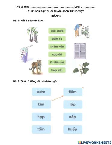Ôn tập cuối tuần 10