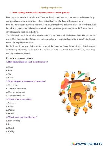 Reading comprehension