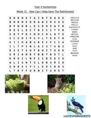 DIS Y4 Humanities Week 12