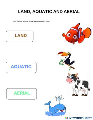 Land, aquatic and aerial