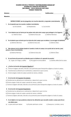 Examen de ciencias naturales, tercer grado. primer trimestre
