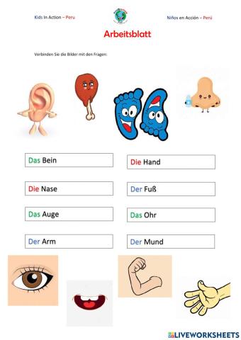 KINDISCH 1.3 - UNTERRICHT 6 - Die Körperteile