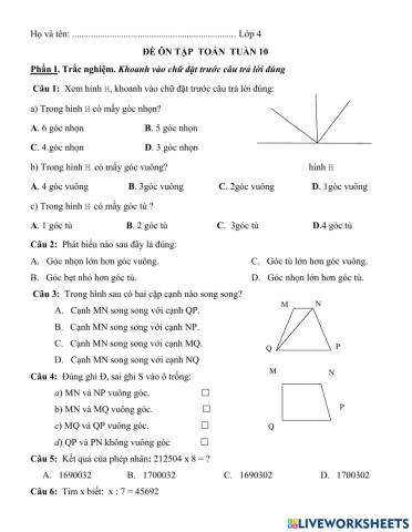 Ôn tập toán tuần 10
