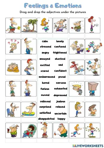 Feelings and emotions