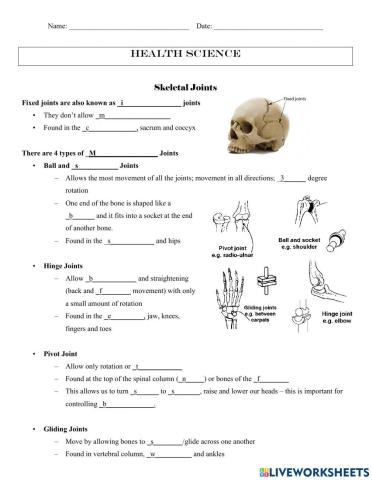 Skeletal Joints Worksheet