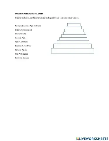 Clasificacion taxonomica