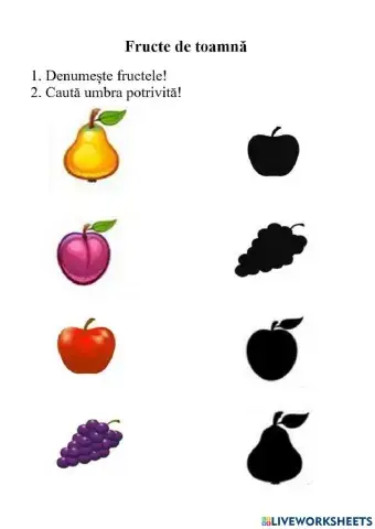 FRUCTE DE TOAMNĂ