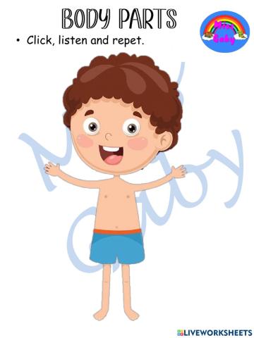 Body parts