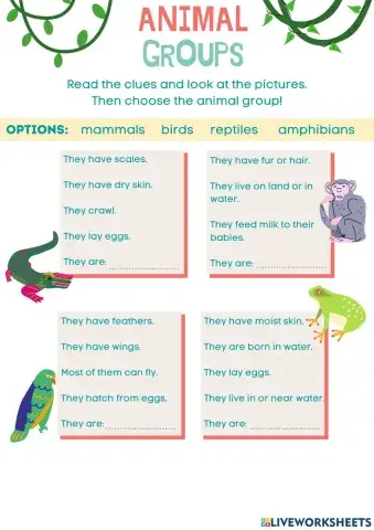 Animal Groups
