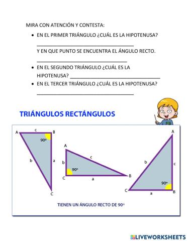 Triángulos Rectangulos