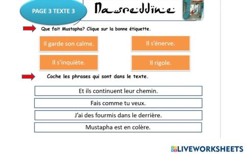 Français lecture nasredine teacher geraldine s9