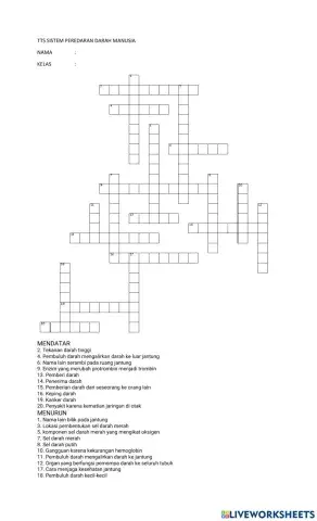 TTS SISTEM PEREDARAN DARAH MANUSIA