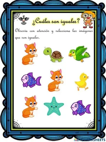 ¿Cuáles son iguales?