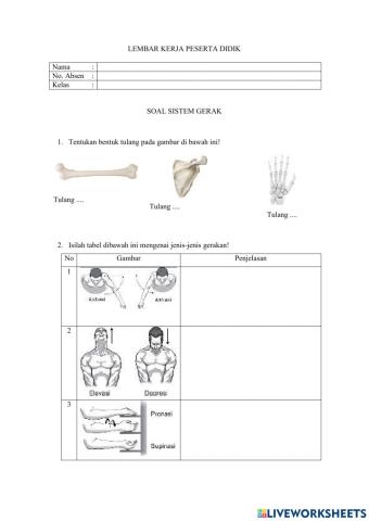 Lkpd sistem gerak dan sirkulasi